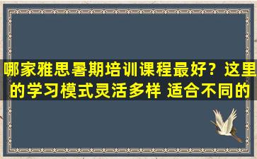 哪家雅思暑期培训课程最好？这里的学习模式灵活多样 适合不同的需求！